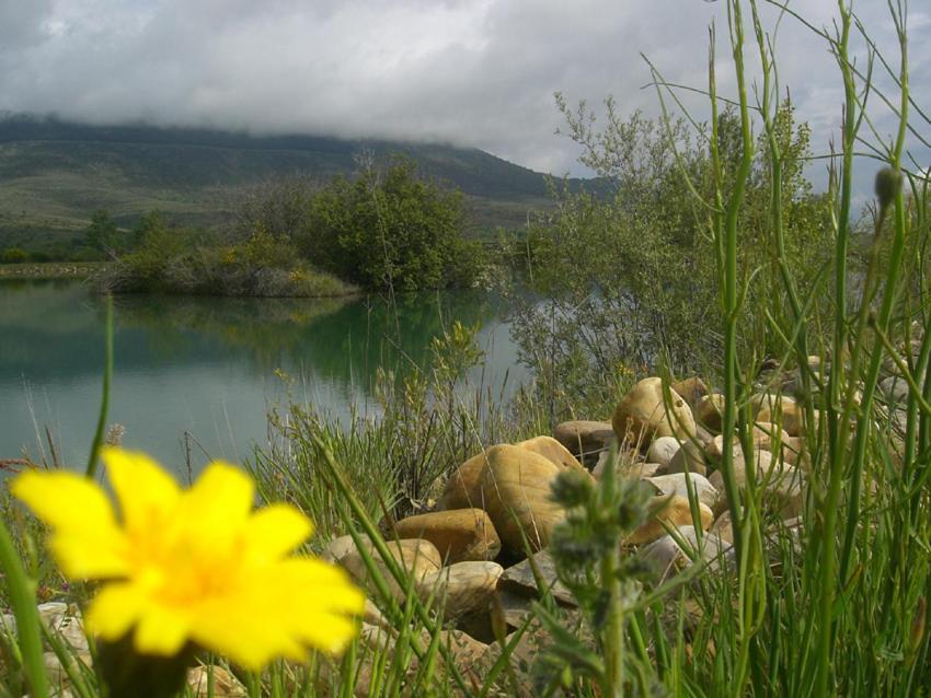 Al Viento, Alojamiento & Turismo Rural Pradena Del Rincon Exteriör bild