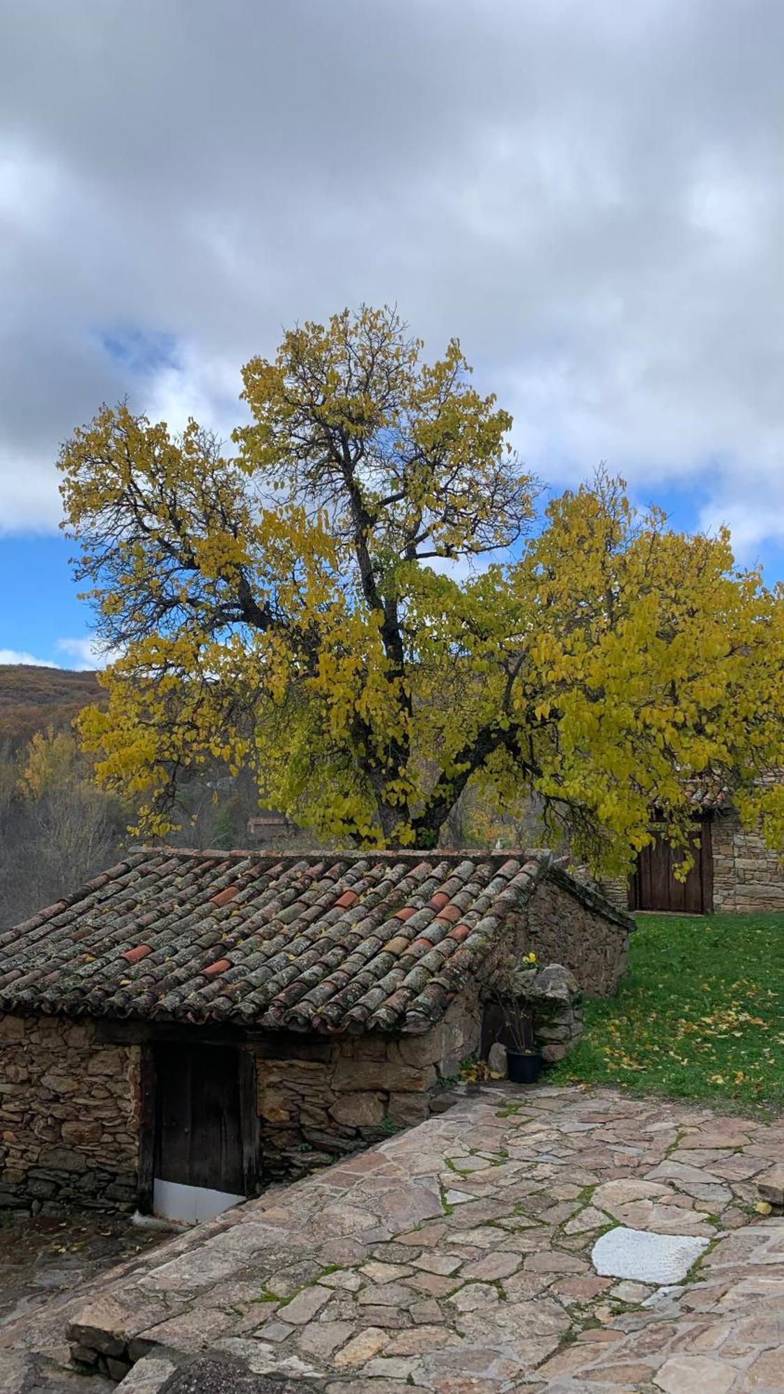 Al Viento, Alojamiento & Turismo Rural Pradena Del Rincon Exteriör bild