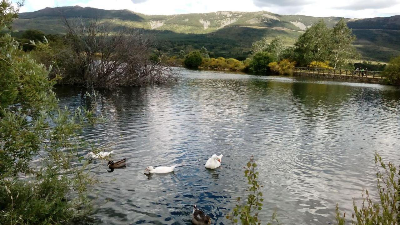 Al Viento, Alojamiento & Turismo Rural Pradena Del Rincon Exteriör bild