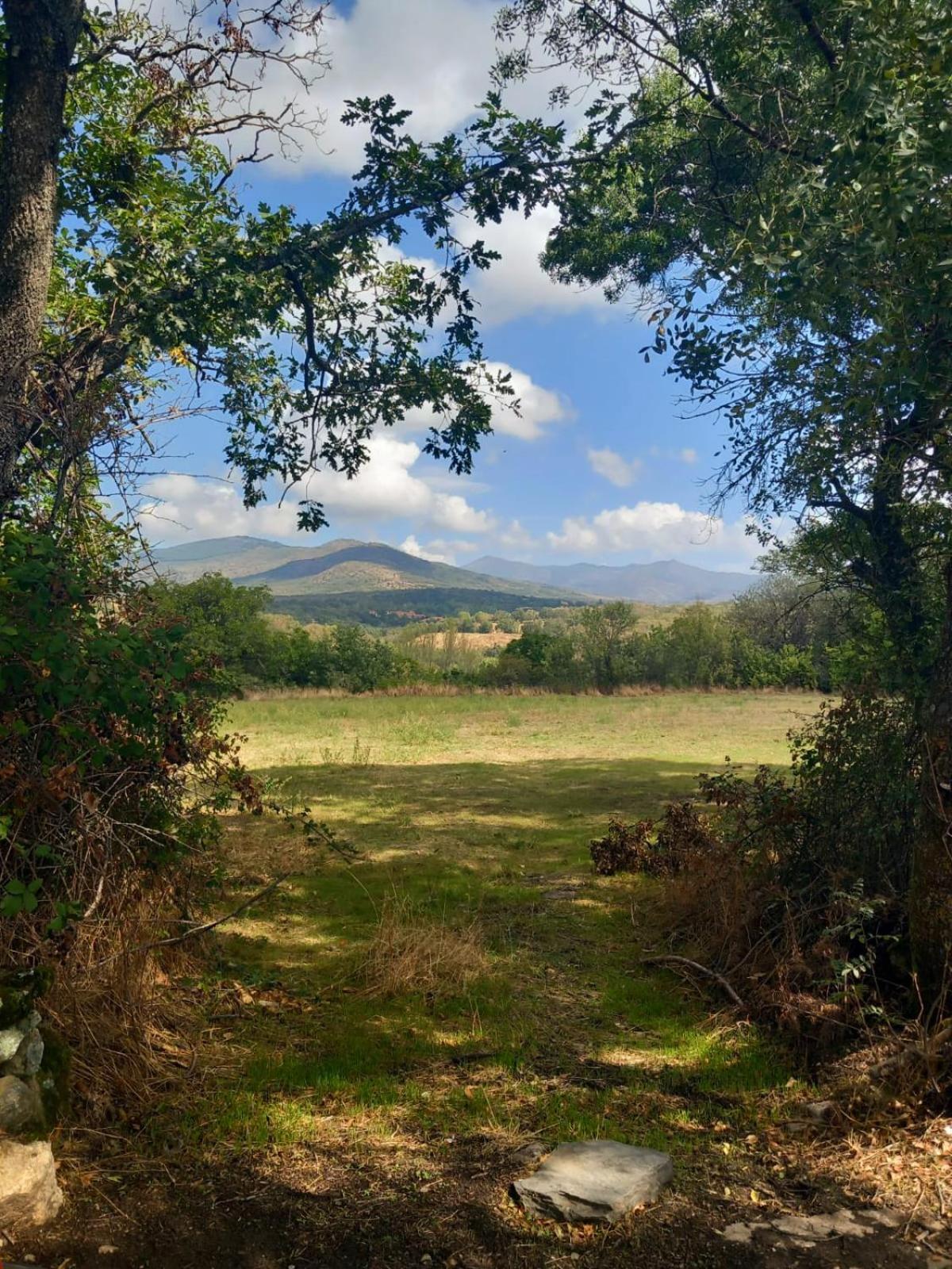 Al Viento, Alojamiento & Turismo Rural Pradena Del Rincon Exteriör bild