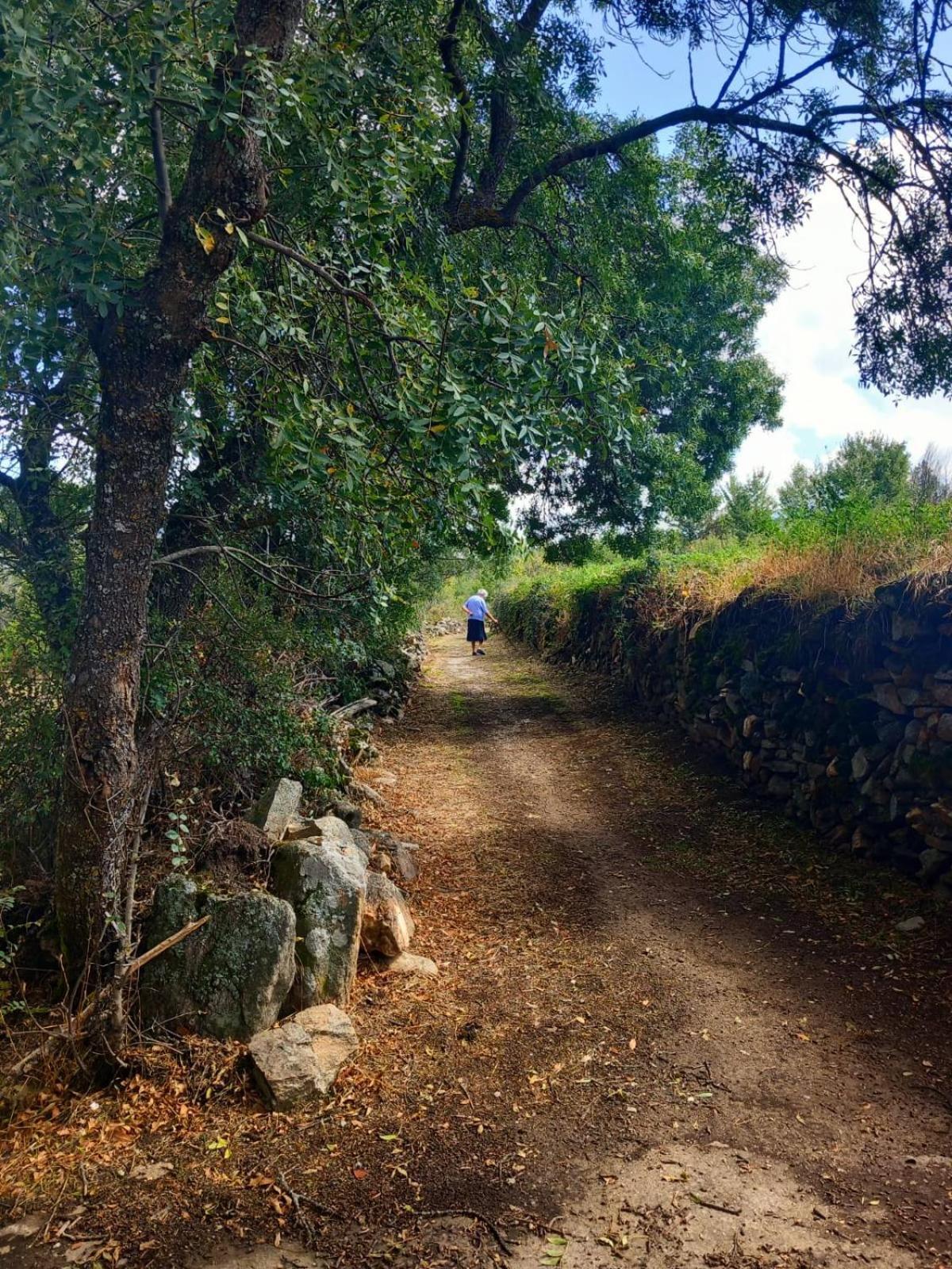 Al Viento, Alojamiento & Turismo Rural Pradena Del Rincon Exteriör bild