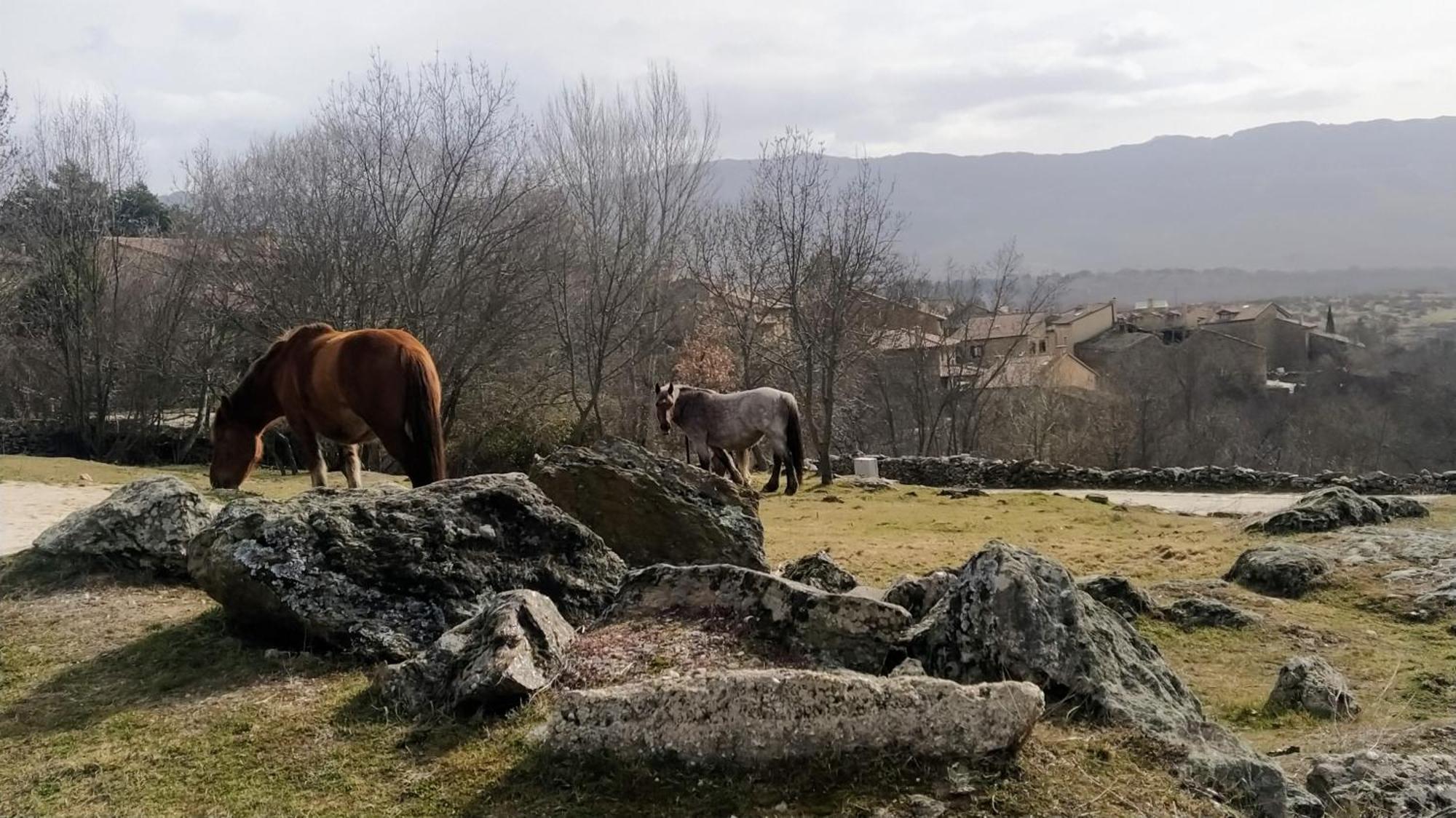 Al Viento, Alojamiento & Turismo Rural Pradena Del Rincon Exteriör bild