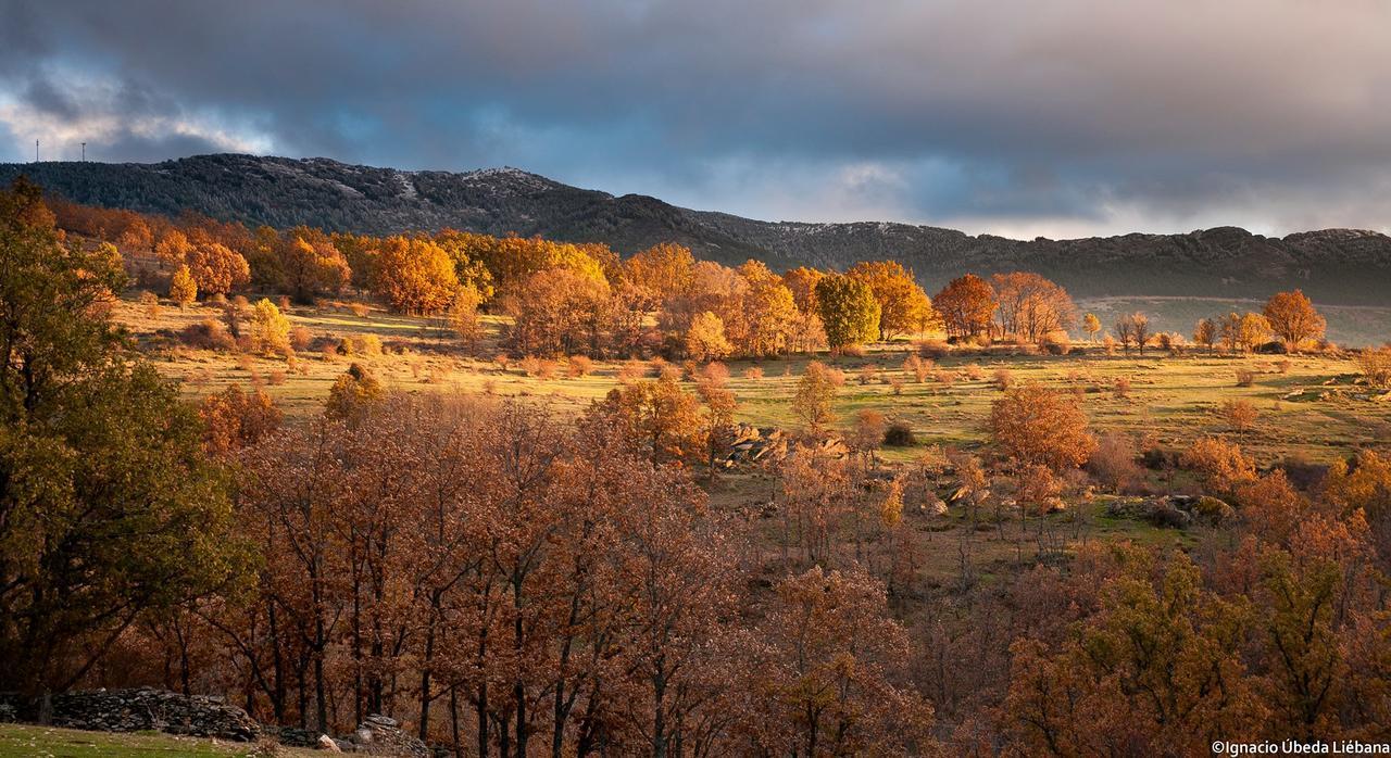Al Viento, Alojamiento & Turismo Rural Pradena Del Rincon Exteriör bild